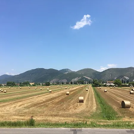 B&B Antica Dimora San Giuliano Terme Exterior foto